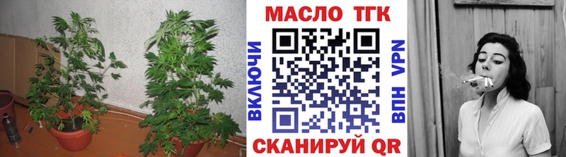 дарк нет как зайти  Тында  ТГК жижа 