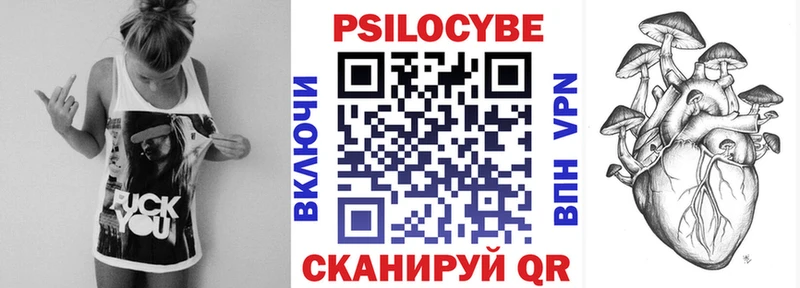 Псилоцибиновые грибы Psilocybine cubensis  купить  сайты  Тында 